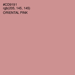 #CD9191 - Oriental Pink Color Image